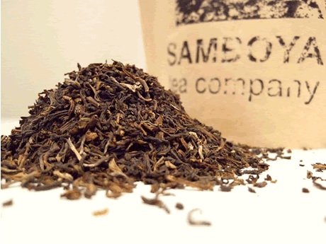 darjeeling tea logo