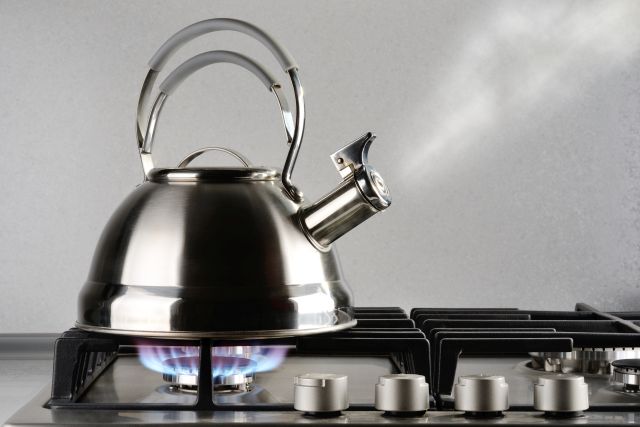 The Whistling Tea Kettle – What Were They Thinking?